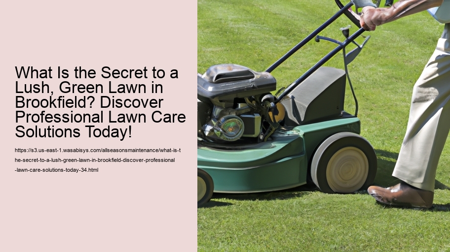 What Is the Secret to a Lush, Green Lawn in Brookfield? Discover Professional Lawn Care Solutions Today!