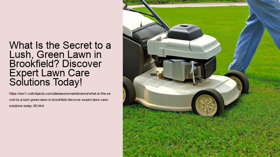 What Is the Secret to a Lush, Green Lawn in Brookfield? Discover Expert Lawn Care Solutions Today!