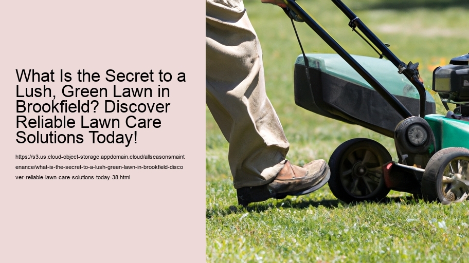 What Is the Secret to a Lush, Green Lawn in Brookfield? Discover Reliable Lawn Care Solutions Today!