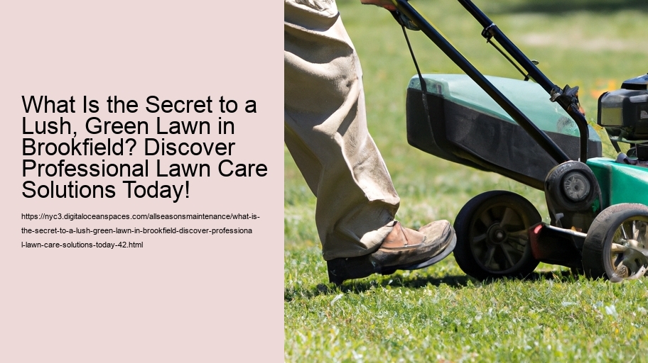 What Is the Secret to a Lush, Green Lawn in Brookfield? Discover Professional Lawn Care Solutions Today!