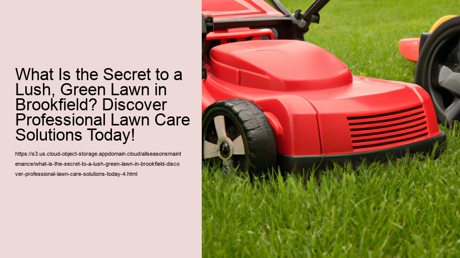 What Is the Secret to a Lush, Green Lawn in Brookfield? Discover Professional Lawn Care Solutions Today!