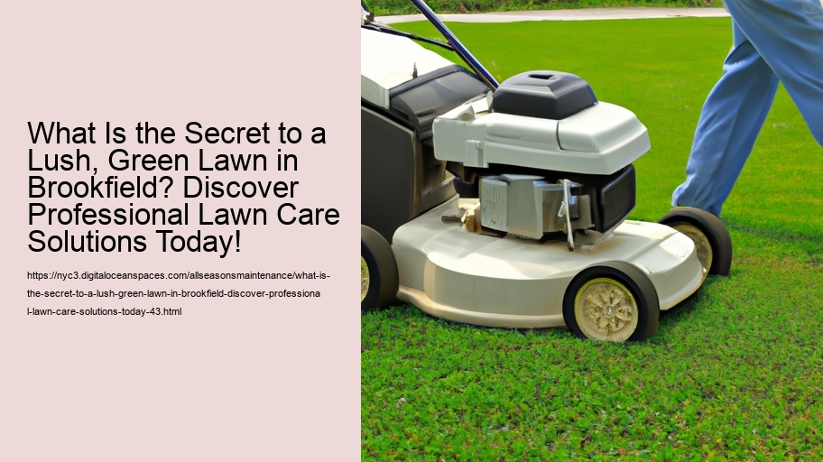 What Is the Secret to a Lush, Green Lawn in Brookfield? Discover Professional Lawn Care Solutions Today!