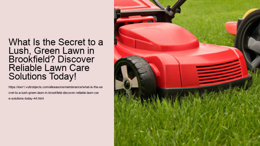 What Is the Secret to a Lush, Green Lawn in Brookfield? Discover Reliable Lawn Care Solutions Today!