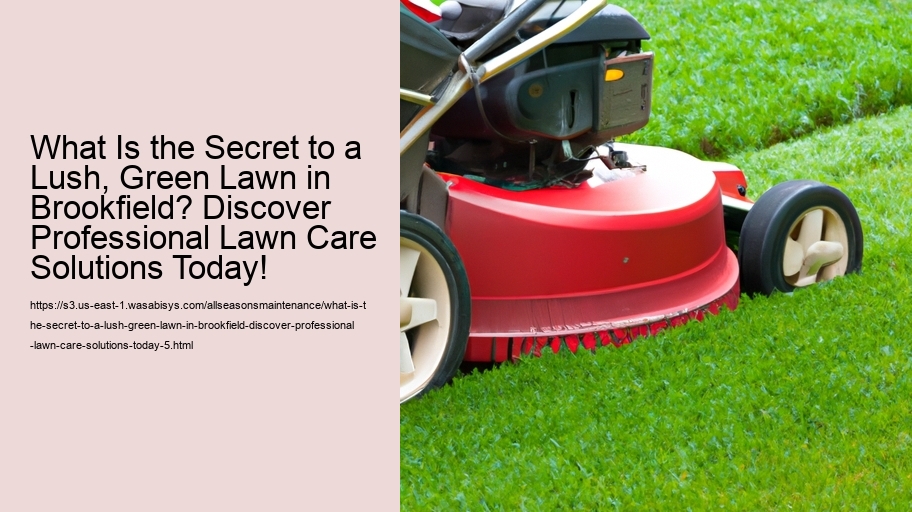 What Is the Secret to a Lush, Green Lawn in Brookfield? Discover Professional Lawn Care Solutions Today!