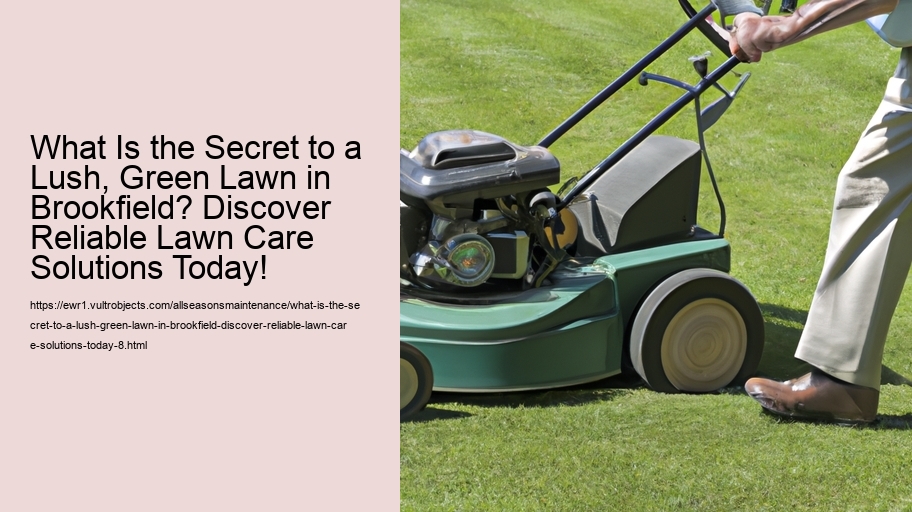 What Is the Secret to a Lush, Green Lawn in Brookfield? Discover Reliable Lawn Care Solutions Today!