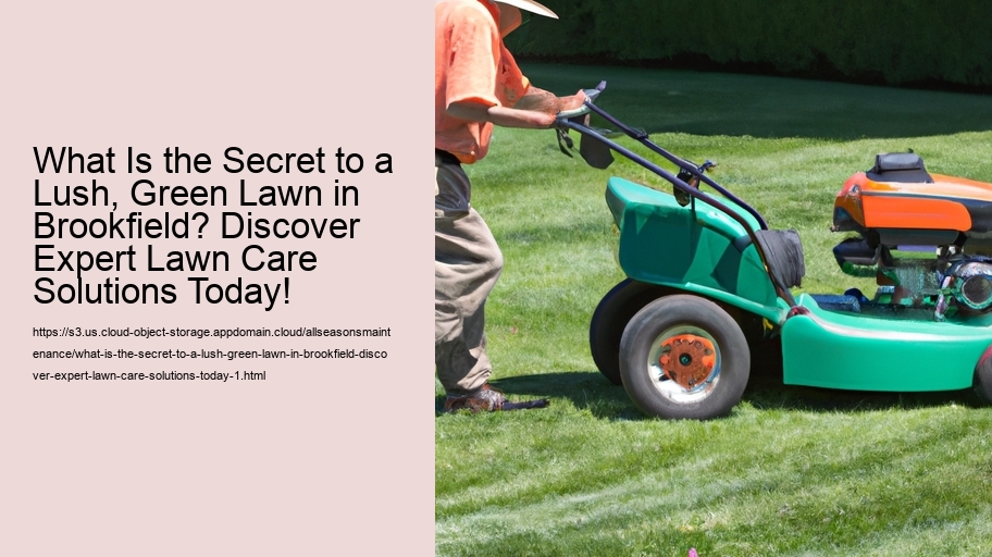 What Is the Secret to a Lush, Green Lawn in Brookfield? Discover Expert Lawn Care Solutions Today!