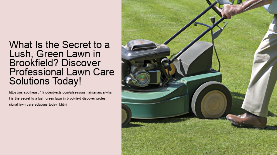 What Is the Secret to a Lush, Green Lawn in Brookfield? Discover Professional Lawn Care Solutions Today!