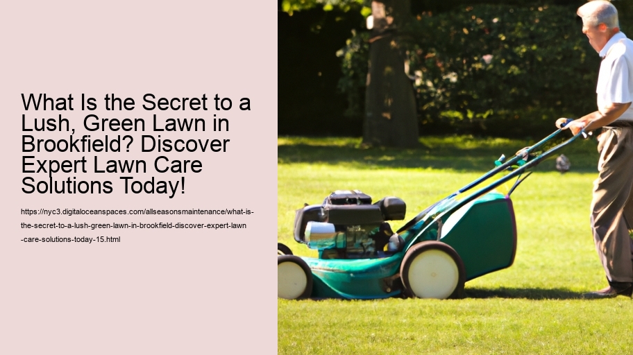What Is the Secret to a Lush, Green Lawn in Brookfield? Discover Expert Lawn Care Solutions Today!