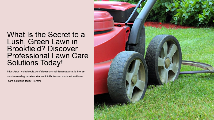 What Is the Secret to a Lush, Green Lawn in Brookfield? Discover Professional Lawn Care Solutions Today!