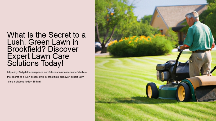 What Is the Secret to a Lush, Green Lawn in Brookfield? Discover Expert Lawn Care Solutions Today!