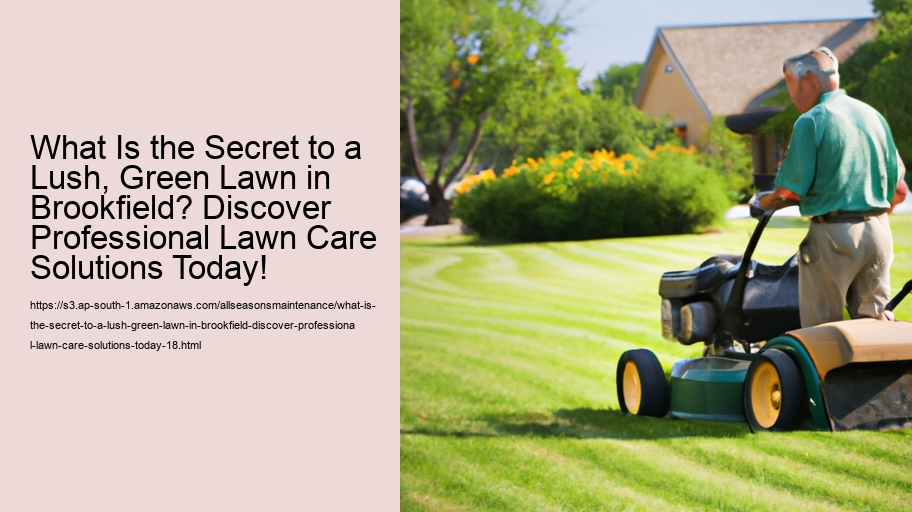 What Is the Secret to a Lush, Green Lawn in Brookfield? Discover Professional Lawn Care Solutions Today!