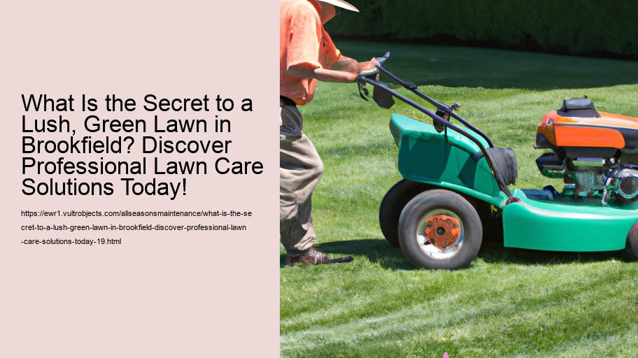 What Is the Secret to a Lush, Green Lawn in Brookfield? Discover Professional Lawn Care Solutions Today!