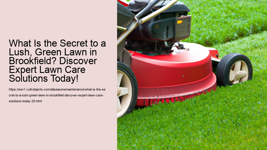 What Is the Secret to a Lush, Green Lawn in Brookfield? Discover Expert Lawn Care Solutions Today!