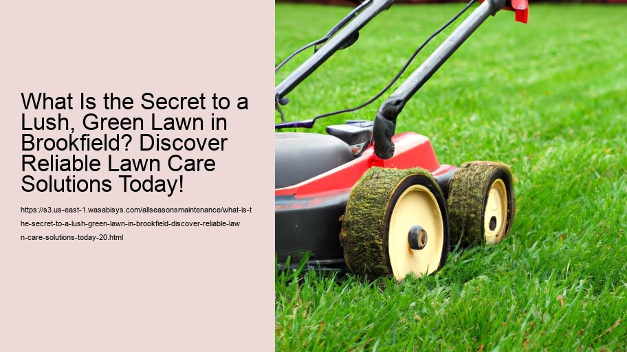 What Is the Secret to a Lush, Green Lawn in Brookfield? Discover Reliable Lawn Care Solutions Today!