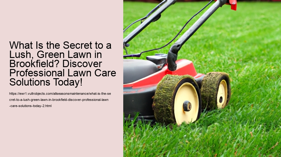 What Is the Secret to a Lush, Green Lawn in Brookfield? Discover Professional Lawn Care Solutions Today!