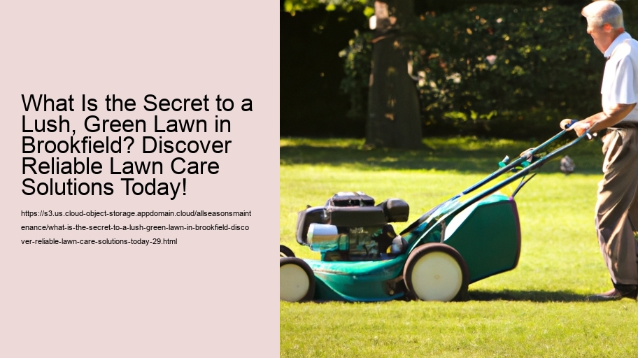What Is the Secret to a Lush, Green Lawn in Brookfield? Discover Reliable Lawn Care Solutions Today!