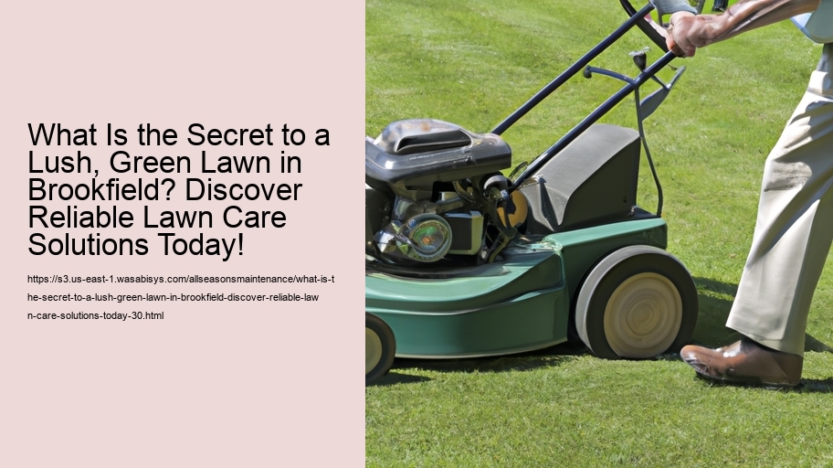 What Is the Secret to a Lush, Green Lawn in Brookfield? Discover Reliable Lawn Care Solutions Today!
