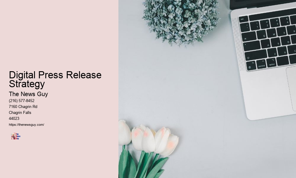 Digital Press Release Strategy