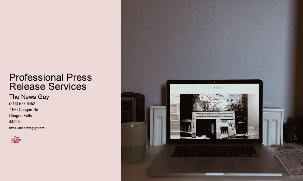 Professional Press Release Services