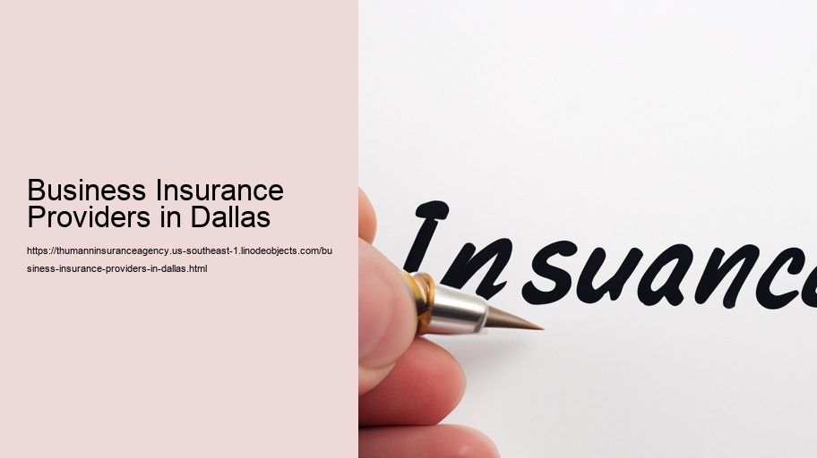 Business Insurance Providers in Dallas